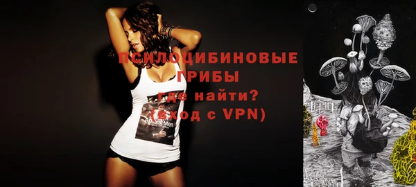 гидра Козловка
