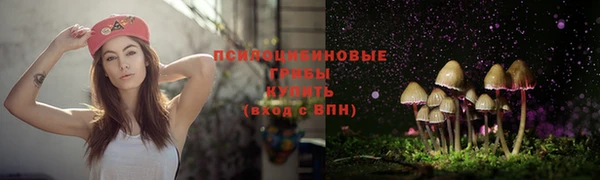 гидра Козловка