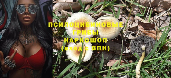 круглые Козельск