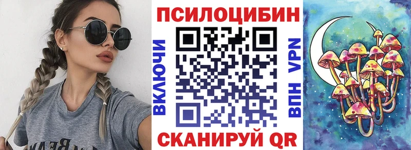 Псилоцибиновые грибы Psilocybine cubensis  Купить закладки  Куртамыш 